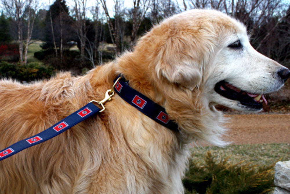Tennessee Flag Dog Collar, Navy, Orange