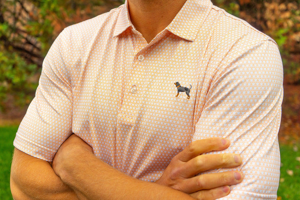 Bluetick All T Polo + Power T Pullover Bundle