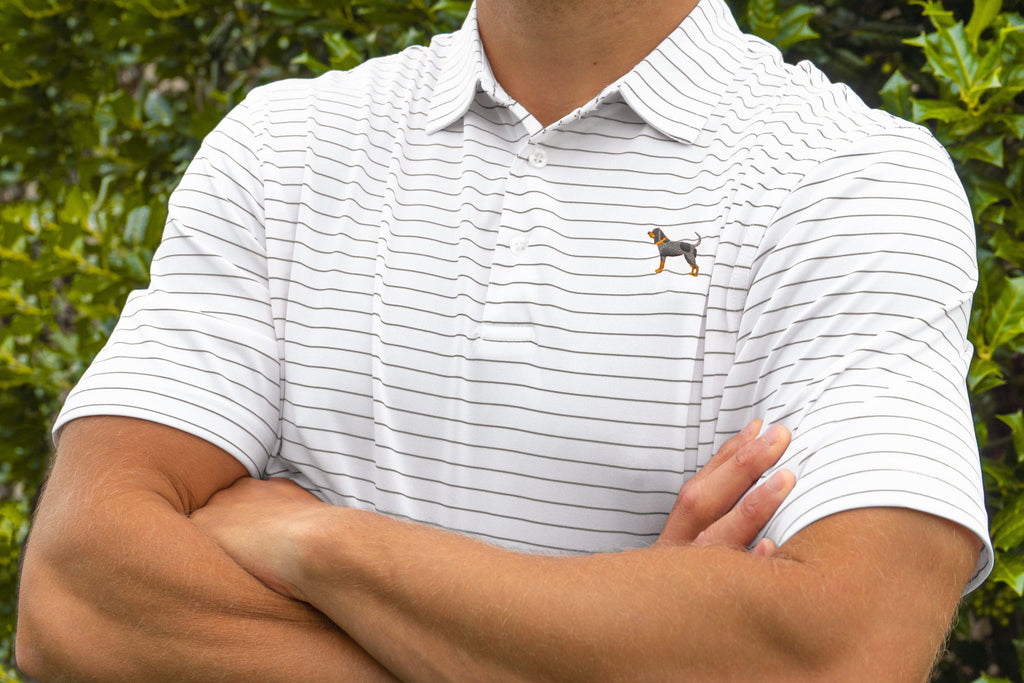 Bluetick Wide Stripe Polos