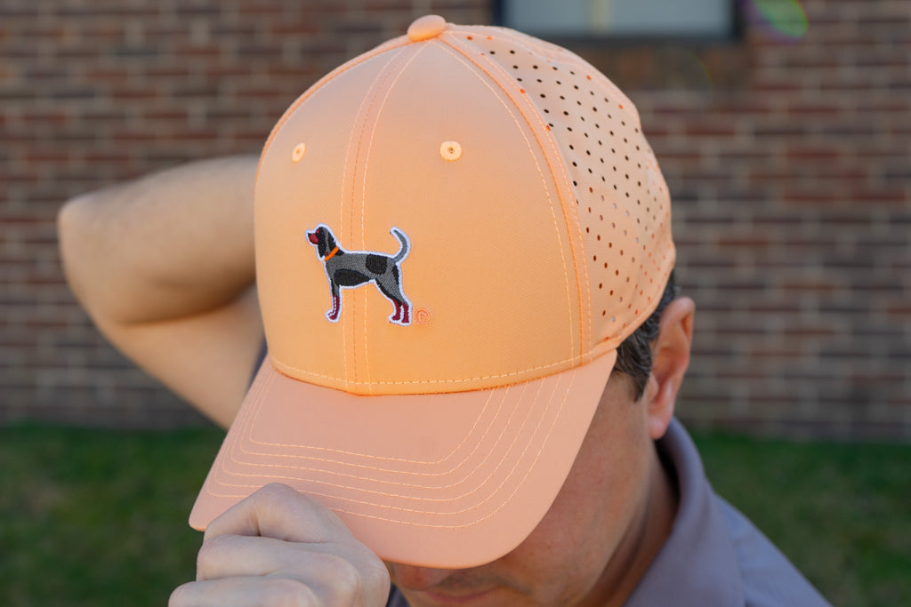 Bluetick Performance Hats