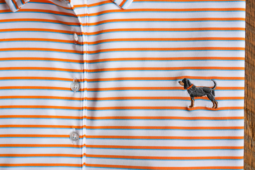 Women's Bluetick Premier Stripe Polo
