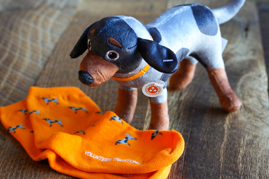 Bluetick Plushie + Sock Bundle