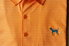 Orange All Power T Bluetick Polo