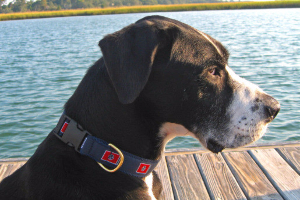 Tristar Dog Collars